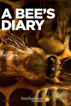 A Bee's Diary (2022) - Download HD Torrent