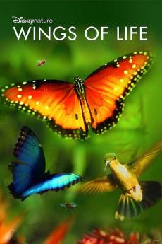 Disneynature: Wings of Life (2011) - Download HD Torrent
