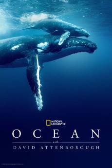 Ocean with David Attenborough (2025) - Download HD Torrent