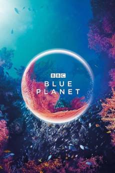 The Blue Planet (2001) - Download HD Torrent