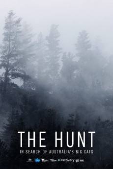 The Hunt: In Search of Australia's Big Cats (2020) - Download HD Torrent
