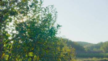 Screenshot 2 from 10 Steps to Love (Full Movie)