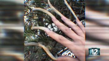 Screenshot 2 from 101 Body Shocks (Full Movie)