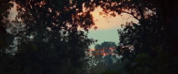 Screenshot 3 from 12 Years a Slave (Full Movie)