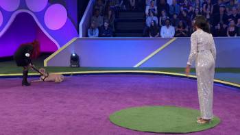 Screenshot 2 from 2022 American Rescue Dog Show (Full Movie)