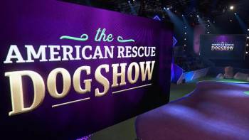 Screenshot 3 from 2022 American Rescue Dog Show (Full Movie)