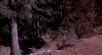 Screenshot 1 from 7th Cavalry (Full Movie)