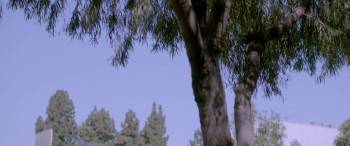 Screenshot 1 from A Boy Called Po (Full Movie)