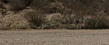 Screenshot 1 from A Champion Heart (Full Movie)