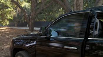 Screenshot 3 from A Doggone Hollywood (Full Movie)