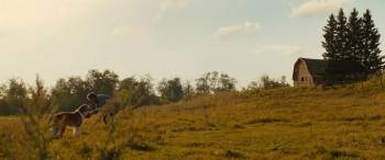 Screenshot 2 from A Dog's Journey (Full Movie)