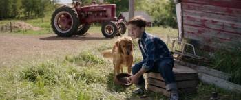 Screenshot 1 from A Dog's Purpose (Full Movie)
