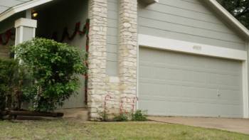 Screenshot 1 from A Dogwalker's Christmas Tale (Full Movie)