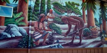 Screenshot 3 from A Flash of Beauty: Bigfoot Revealed (Full Movie)