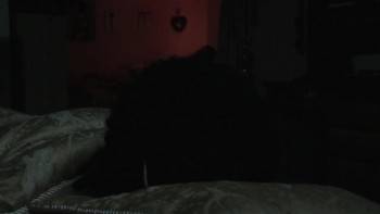 Screenshot 3 from A Good Day to Be Black & Sexy (Full Movie)