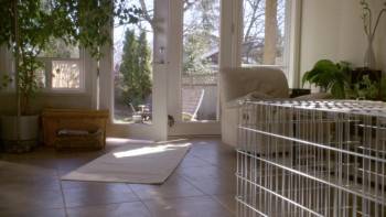Screenshot 2 from A Guide for the Married Man (Full Movie)