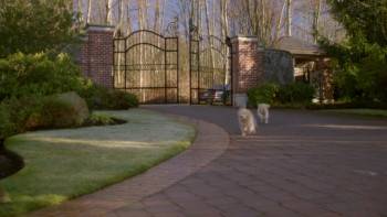 Screenshot 3 from A Guide for the Married Man (Full Movie)
