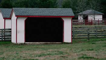 Screenshot 2 from A Horse Called Hope (Full Movie)