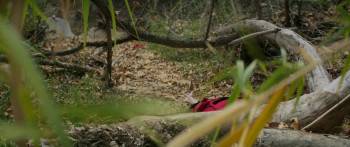 Screenshot 2 from A Midsummer Night's Dream (Full Movie)