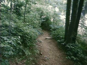 Screenshot 1 from A Nymphoid Barbarian in Dinosaur Hell (Full Movie)