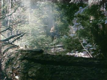 Screenshot 2 from A Nymphoid Barbarian in Dinosaur Hell (Full Movie)