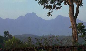 Screenshot 2 from A Passage to India (Full Movie)