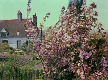 Screenshot 3 from A Queen Is Crowned (Full Movie)