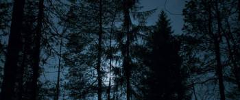 Screenshot 1 from A Reindeer's Journey (Full Movie)