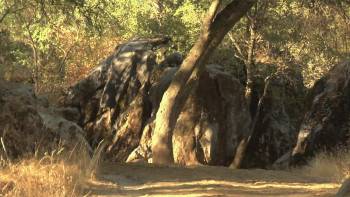 Screenshot 1 from A River of Skulls (Full Movie)