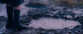 Screenshot 2 from A Shine of Rainbows (Full Movie)