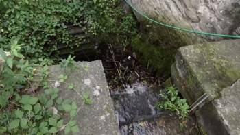 Screenshot 1 from A Stranger in the Woods (Full Movie)