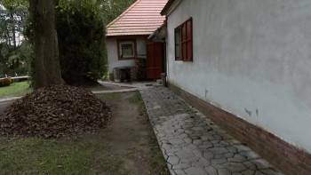 Screenshot 3 from A Stranger in the Woods (Full Movie)