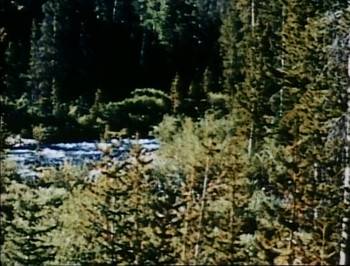 Screenshot 3 from A Tale of Two Critters (Full Movie)