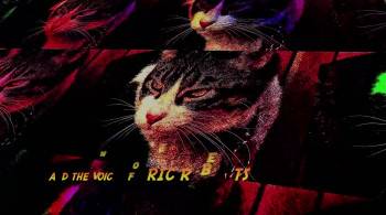 Screenshot 3 from A Talking Cat!?! (Full Movie)