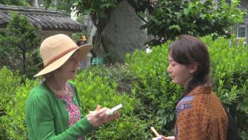Screenshot 2 from A Traveler's Needs (Full Movie)