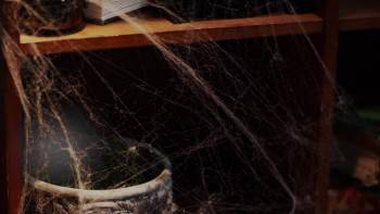 Screenshot 3 from A Witches' Ball (Full Movie)