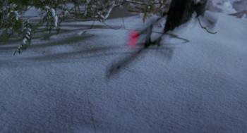 Screenshot 1 from Abraxas, Guardian of the Universe (Full Movie)