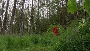 Screenshot 1 from Ace of Hearts (Full Movie)