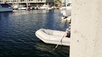 Screenshot 1 from Adventure Harbor (Full Movie)
