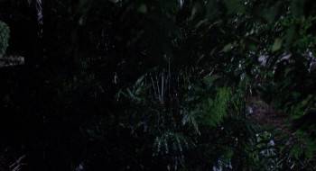 Screenshot 2 from Agent Red (Full Movie)