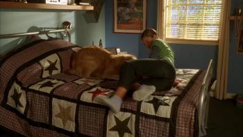 Screenshot 3 from Air Bud: Seventh Inning Fetch (Full Movie)