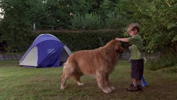 Screenshot 3 from Air Bud: Spikes Back (Full Movie)