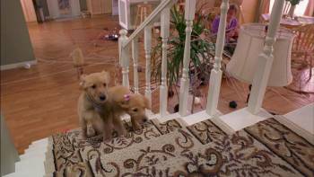 Screenshot 2 from Air Buddies (Full Movie)