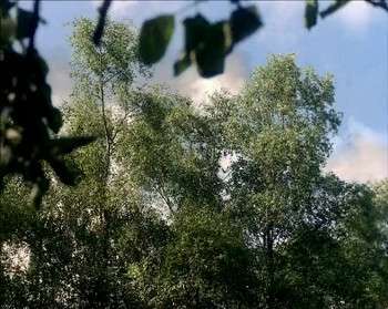 Screenshot 1 from Alice in Wonderland (Full Movie)
