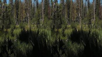 Screenshot 3 from Alien Showdown: The Day the Old West Stood Still (Full Movie)