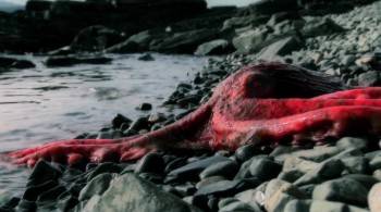 Screenshot 2 from Aliens of the Deep (Full Movie)