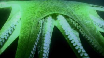 Screenshot 3 from Aliens of the Deep (Full Movie)