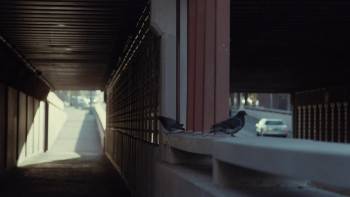 Screenshot 3 from All the World Is Sleeping (Full Movie)