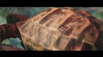 Screenshot 2 from All You Need Is Blood (Full Movie)