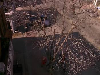 Screenshot 2 from Alley Cats Strike (Full Movie)